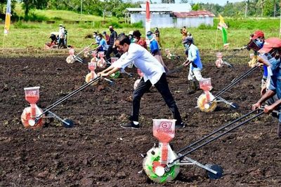 Mengintip Momen Presiden Jokowi Bajak Lahan di Tengah Teriknya Matahari di Papua