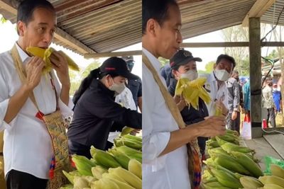 Beda Selera Jokowi Makan di Tempat, Puan Pilih Jagung Rebus Dibungkus, Minta yang Matang