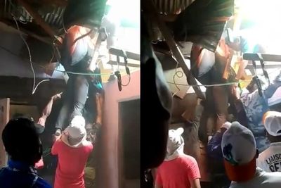 Atlet Gantole Asal Sumbar Tersangkut di Atap Rumah Warga saat Bertanding di PON XX Papua