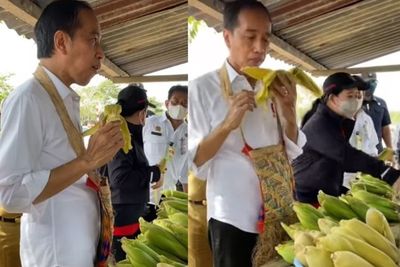Ditemani Puan dan Mentan, Jokowi Asyik Makan Jagung di Pinggir Jalan