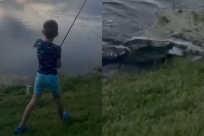 Lagi Mancing, Bocah Ini Terkejut saat Seekor Buaya Memangsa Ikan yang Didapatnya