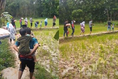 Viral Rombongan Pengantin Jalan Kaki Lewati Sawah Berlumpur dan Becek, Penuh Rintangan