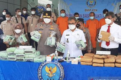 BNN Aceh Musnahkan Ganja dan Sabu-sabu Bernilai Rp31 Miliar Lebih
