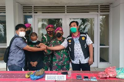 Modus Kirim Ikan Asin Lewat JNE, Pengedar Ganja Tak Berkutik Dibekuk Prajurit Marinir