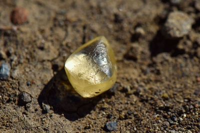 Wih, Pasangan Ini Berhasil Temukan Berlian 4,38 Karat di Taman Nasional Arkansas!