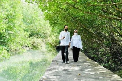 Presiden Jokowi dan Iriana Nikmati Suasana Hutan Mangrove di Bali