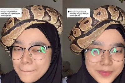 Tak Biasa! Wanita Ini Hobi Pelihara Ular Hingga Iguana, Ularnya Sampai Dibikin Mainan