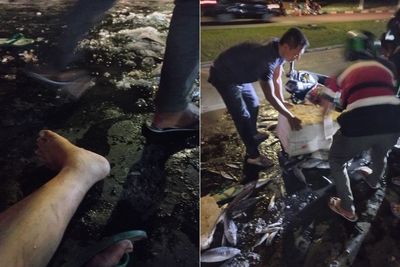 Viral Curhat Pilu Pedagang Ikan Jadi Korban Tabrak Lari Mobil Pajero: Anak Saya Nunggu