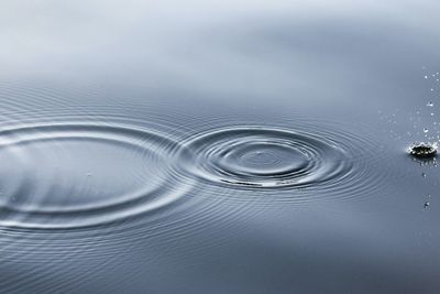 WMO Prediksi 5 Miliar Orang di Dunia Akan Kekurangan Air pada 2050