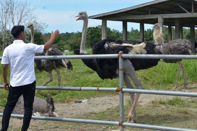 Taman Safari Gurun Putih Lestari Aceh Mulai Dibuka, Ini Foto-fotonya