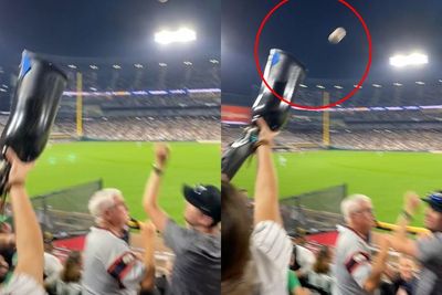 Takjub! Wanita Ini Pakai Kaki Palsunya untuk Menangkap Bola Bisbol saat Home Run