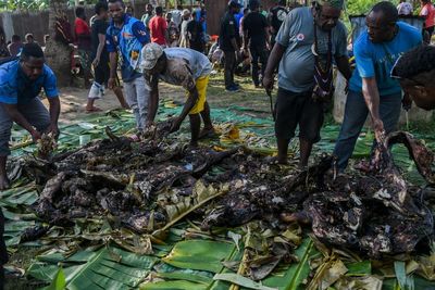 Pesta Adat Bakar Batu Tim Sepak Bola Putri Papua, Ini Foto-fotonya
