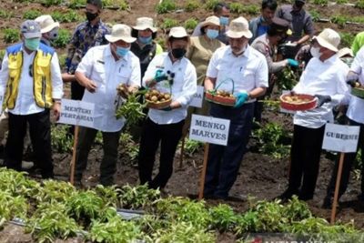 Pengamat Pertanian Soroti Bantuan Kementan untuk Food Estate di Humbahas: Kami Apresiasi