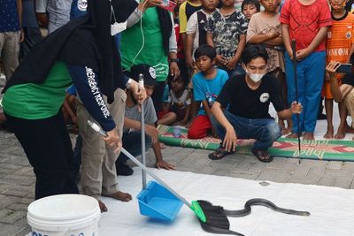 Edukasi Pertolongan Pertama Gigitan Ular, Ini Foto-fotonya