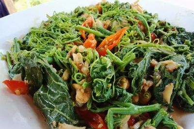 Siapa Nih Tertarik Buat Tumis Daun Labu Bumbu? Ini Resep Mudah Membuatnya