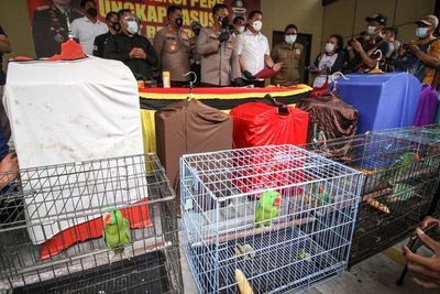 Ungkap Kasus Perdagangan Satwa Dilindungi, Berikut Foto-fotonya