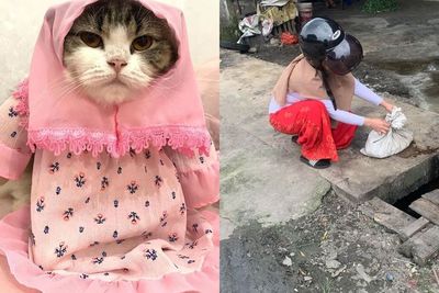 Hak Asasi Hewan Ternyata Ada, Ini Sederet Penyiksaan Terhadap Binatang yang Sempat Viral