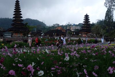 Wisata Ulun Danu Beratan di Bali, Ini Foto-fotonya