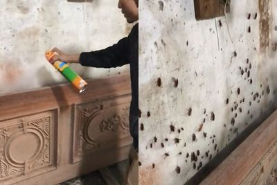 Pria Ini Basmi Kecoak di Balik Pintu Rumah, Ketika Disemprot, Ratusan Kecoak Keluar