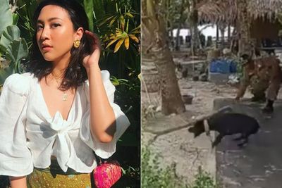 Sherina Kecewa ke Kasatpol PP Aceh Singkil yang Bantah Anjing Canon Mati karena Disiksa