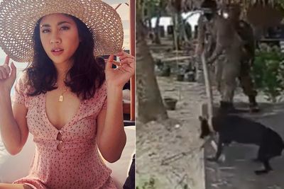Sherina Soroti Kasus Anjing Canon yang Diduga Disiksa Satpol PP: Demi Agenda Egois Manusia