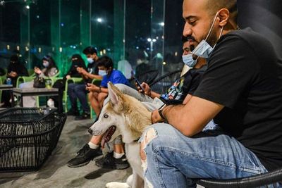 Arab Saudi Kini Kehadiran Cafe Anjing, Diberi Nama The Barking Lot