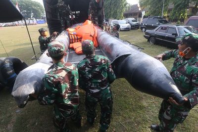 Apel Kesiapsiagaan Bencana Hidrometeorologi, Ini Foto-fotonya