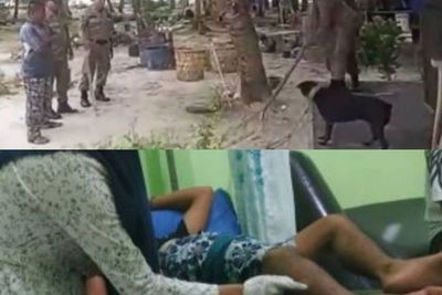 Sebelum Viral, Anjing Canon Telah Menelan Korban di Aceh, Begini Ceritanya