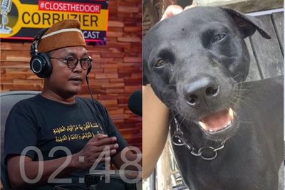 Guntur Romli Soroti Soal Anjing Canon yang Mati di Aceh: Wisata Halal Kok Pakai Cara Haram