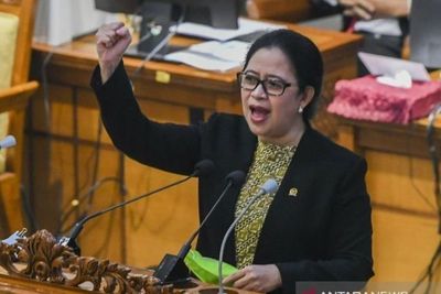 Puan Apresiasi Presiden Jokowi Terkait Harga Tes PCR Jadi Rp300 Ribu