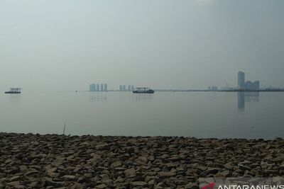 Air Laut Tercemar, Pemprov DKI Pastikan Ikan di Teluk Jakarta Tidak Terpapar Paracetamol