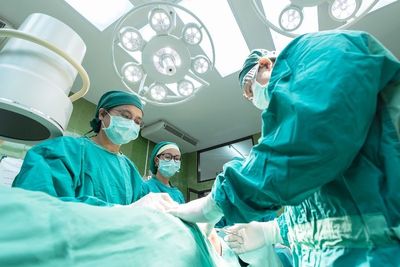 Ginjal Babi Sukses Dicangkok ke Manusia, Ini Sederet Fakta Menarik Xenontransplantasi