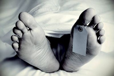 Warga Temukan Mayat Pria Tangan Terikat di Hutan Kota Bekasi