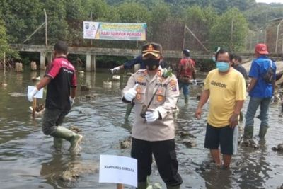 Jaga Kelestarian Lingkungan, Polres Sibolga Bersama Warga Tanam 3000 Mangrove
