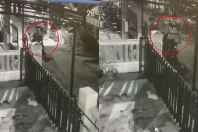 Viral Maling Kena Karma, Niat Mencuri Malah Tertimpa Pagar
