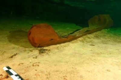 Sampan Kayu Suku Maya Ditemukan di Meksiko, Usianya Lebih dari 1.000 Tahun