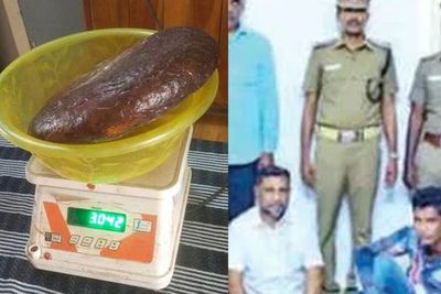 Hendak Jual Muntahan Paus Ambergris Seharga Rp14 Miliar, 2 Pria Dibekuk Polisi