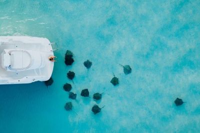 Kepulauan Cayman akan Membuka Perbatasannya Mulai Bulan Depan