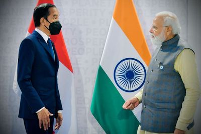 Kembangkan Industri Farmasi, Indonesia Kerjasama dengan India, Produksi Bahan Baku Obat