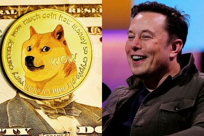 Elon Musk Ingin Bangun Universitas Sendiri, Bayar Uang Kuliah Pakai Dogecoin