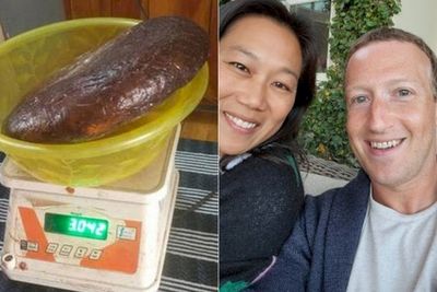 POPULER: Pria Hendak Jual Muntahan Paus Ambergris & Mark Zuckerberg Ajari Anaknya Coding