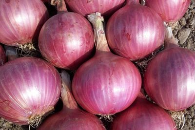 Viral Polisi Palak Sekarung Bawang, Ini 5 Manfaat Bawang Merah untuk Kesehatan