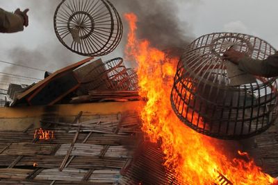 Pembongkaran Kandang Burung Merpati Aduan, Berikut Foto-fotonya