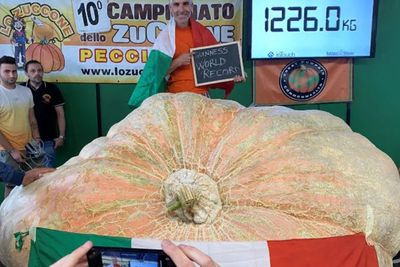 Labu Raksasa Ini Ditetapkan Sebagai yang Paling Besar di Dunia oleh Guinness World Records