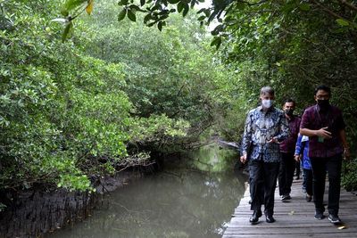 Dubes Inggris Kunjungi Hutan Mangrove di Bali, Berikut Foto-fotonya