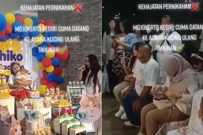 Viral Ultah Kucing Dirayakan dengan Meriah, Ada Tamu, Hiasan Balon dan Kuenya Juga