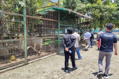 Gugatan Walhi Terhadap PT Nuansa Alam Nusantara Ditolak PN Padangsidempuan