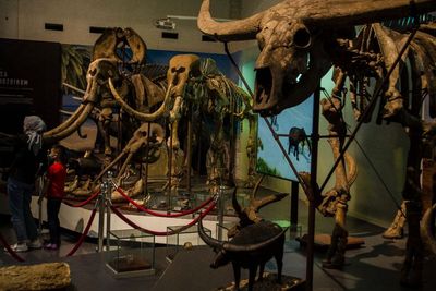 Museum Geologi Bandung Kembali Dibuka, Berikut Foto-fotonya