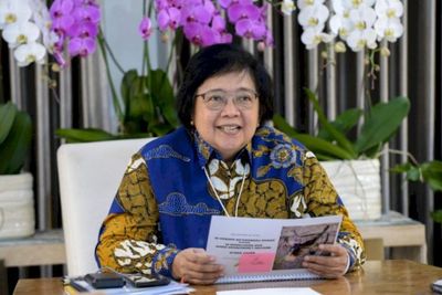 Kesampingkan Deforestasi Untuk Pembangunan, Menteri KLHK Tuai Cibiran