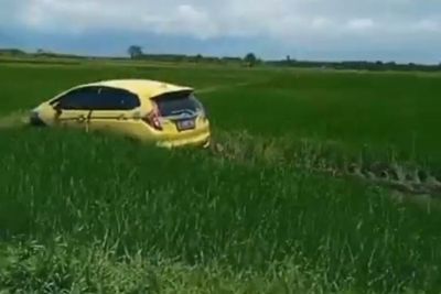 Diduga Mengantuk, Mobil Wanita Ini Nyungsep ke Persawahan di Banyuwangi